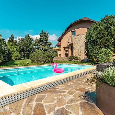 Villa With Pool & Sauna In Beer Village Велке-Поповице Экстерьер фото